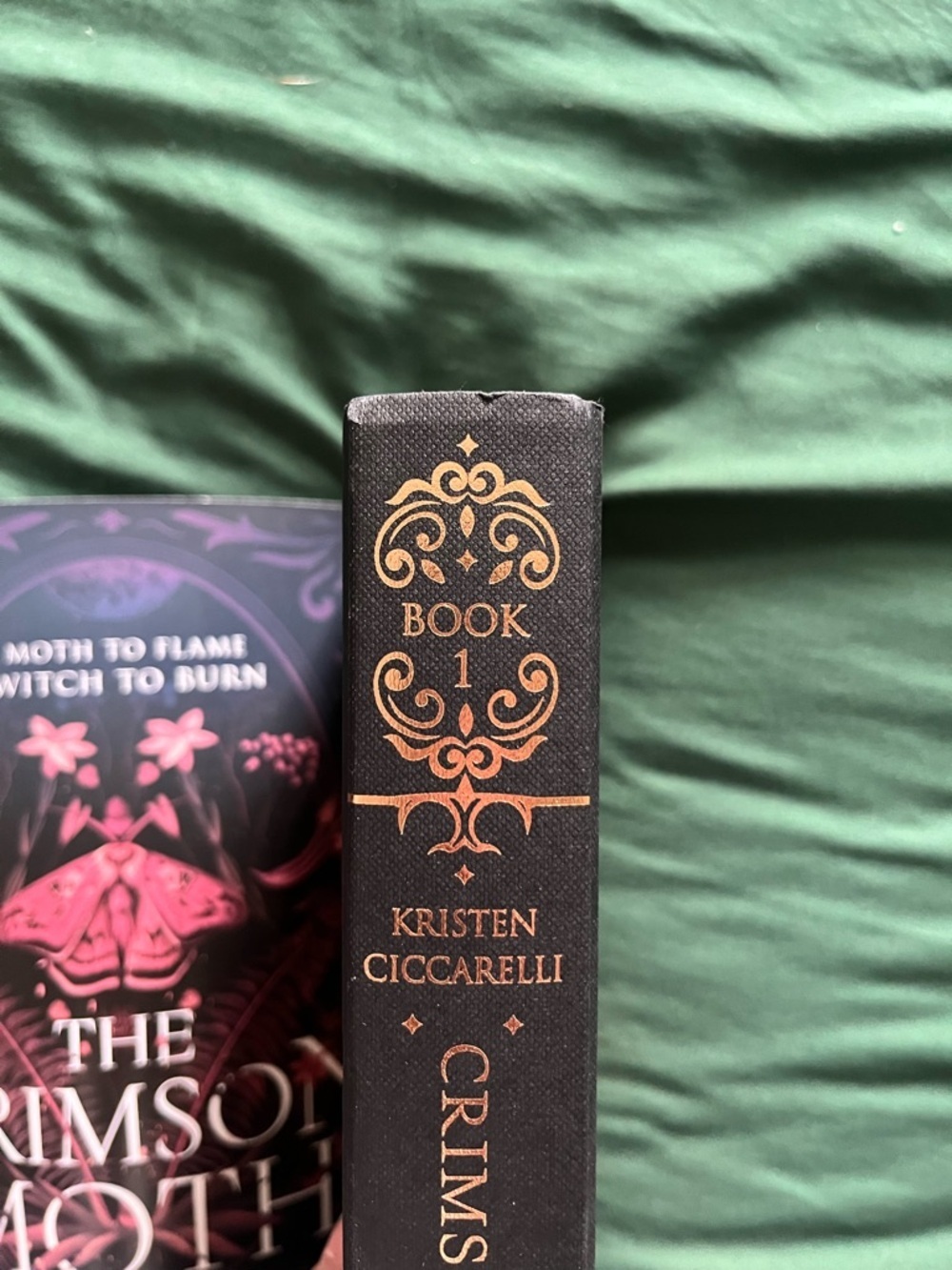 Fairyloot the Crimson Moth and The Rebel Witch - Picture 7 of 7